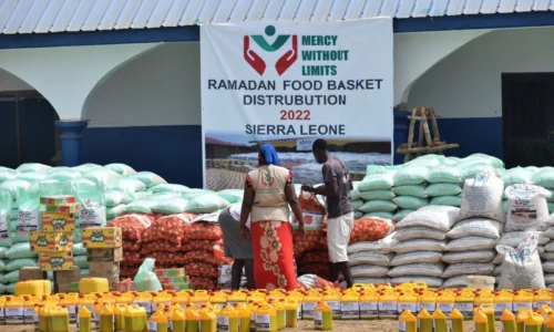 Food Basket ($100 per Family)
